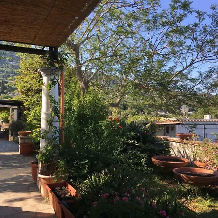 Eden Frait Bed & Breakfast